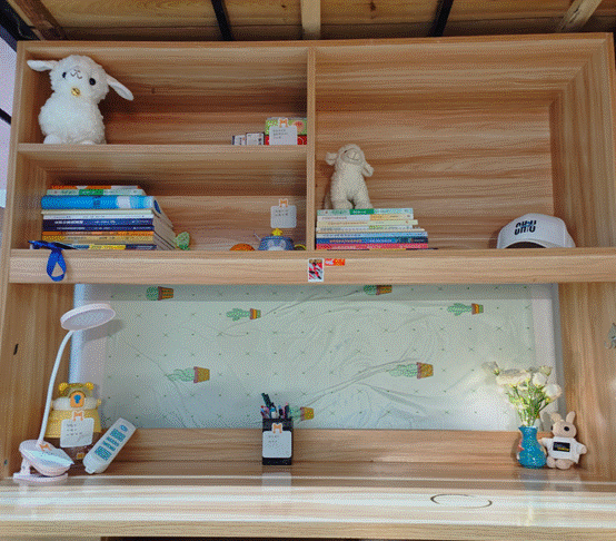 图示, 示意图
中度可信度描述已自动生成:ver1